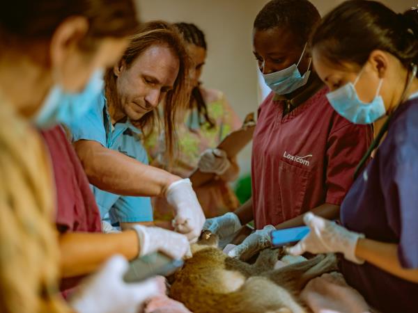 Veterinary medicine course, Malawi
