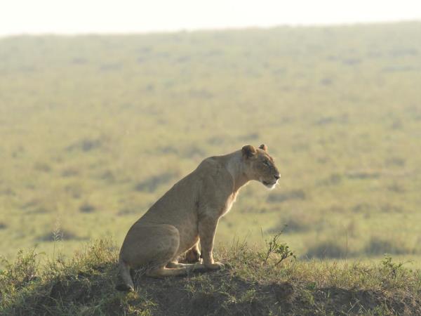 Kenya luxury camping safari