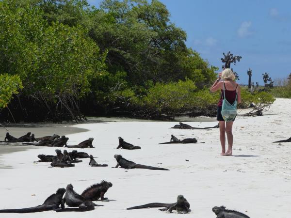 Ecuador and the Galapagos Islands walking holiday