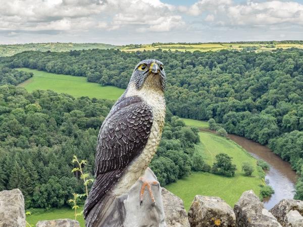 Offa's Dyke path walking holiday
