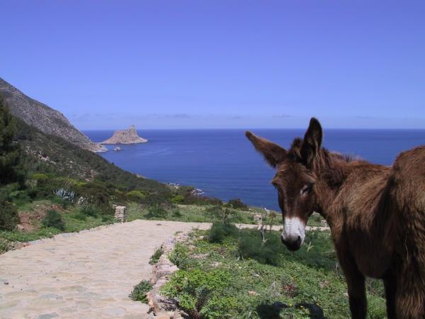 Sicily self guided walking holiday in Italy