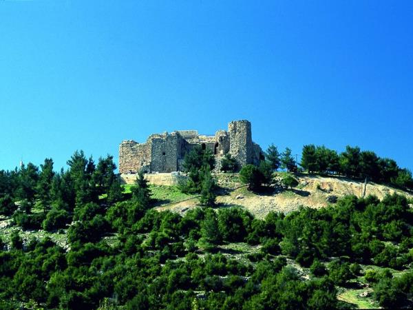 Castles of Jordan tour