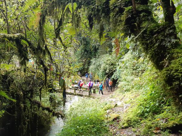 Annapurna Base Camp, 14 days trekking holiday