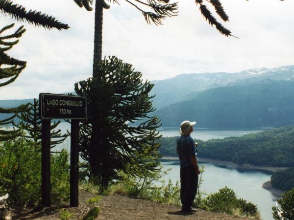 Chile hiking tour, Lake and Volcano District