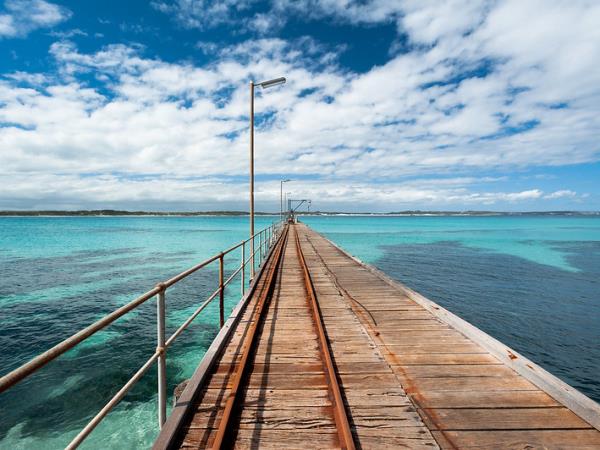Kangaroo Island dolphin swim and tour, South Australia