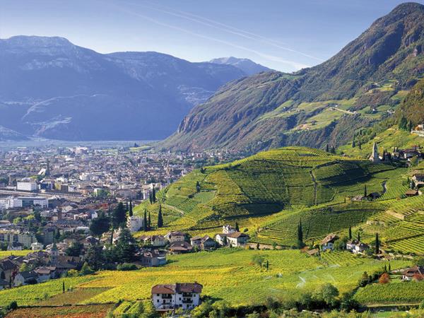 South Tyrol to Verona cycling holiday in Italy