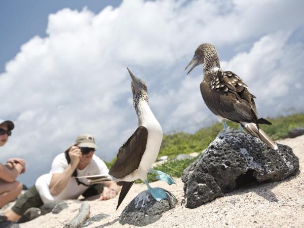 Galapagos Islands cruise, 10 days