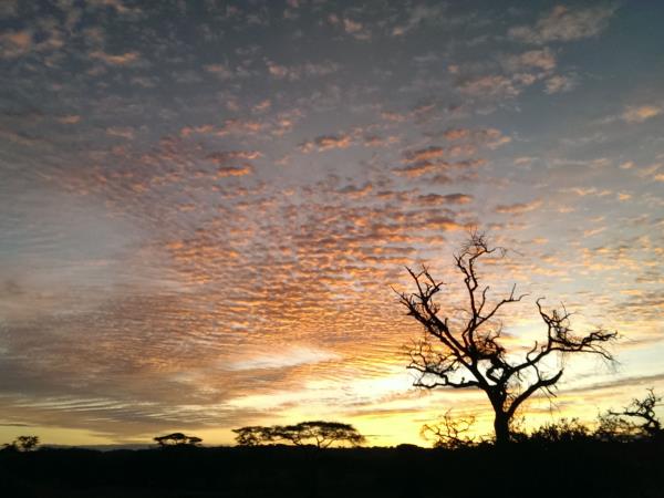 Tanzania flamingo and wildlife holiday