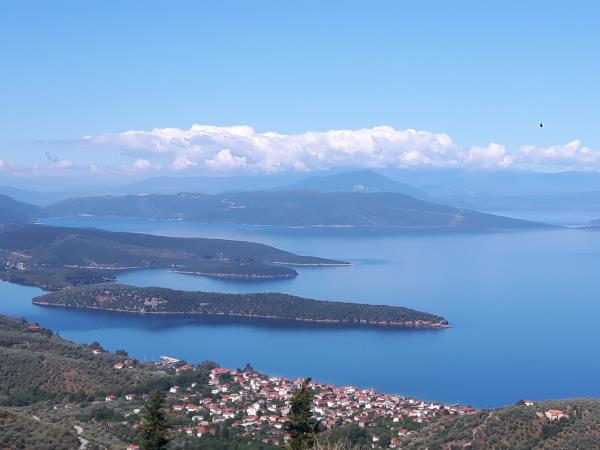 Illustrated nature journal retreat in Greece