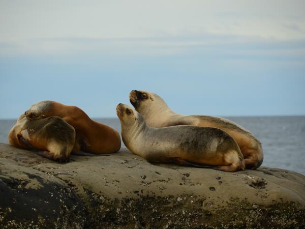 Patagonia family holiday