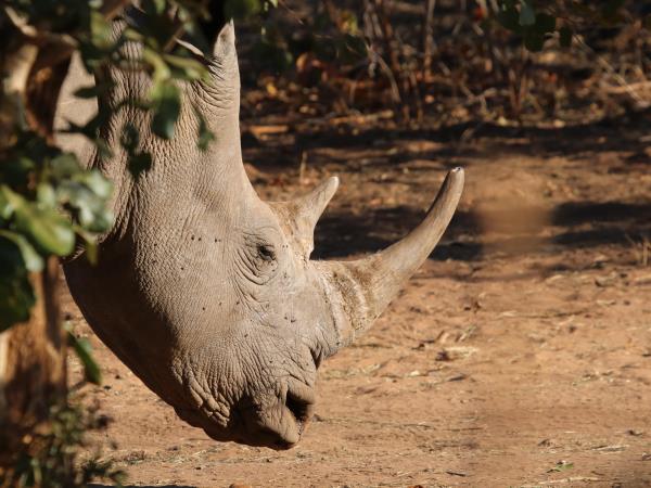Northern Kenya safari, off the beaten track