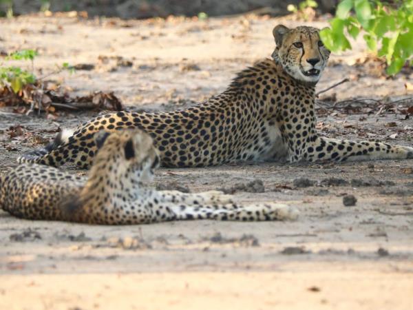 Malawi holidays & safaris in 2023 & 2024 | Responsible Travel