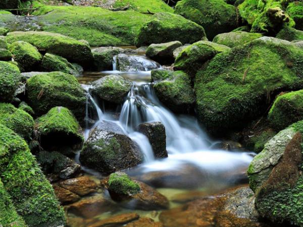 Ryukyu Islands tour, off the beaten track in Japan