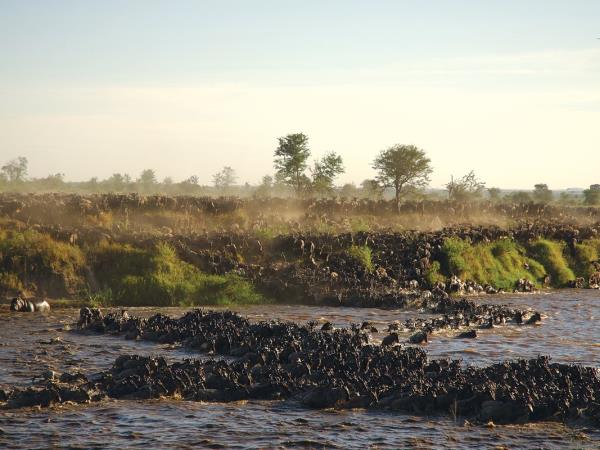 Great migration safari holiday in Tanzania