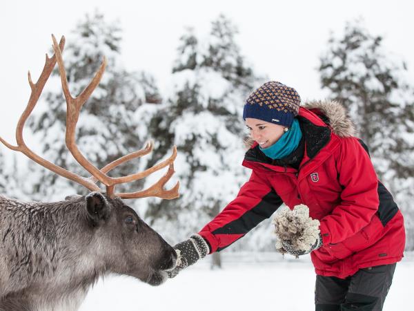 Finnish lapland holiday, winter activities