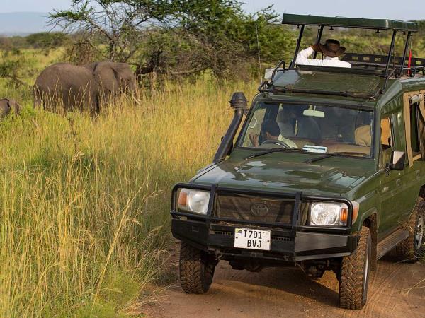 Tanzania luxury family safari and beach holiday