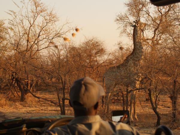 Zimbabwe small group safari holiday