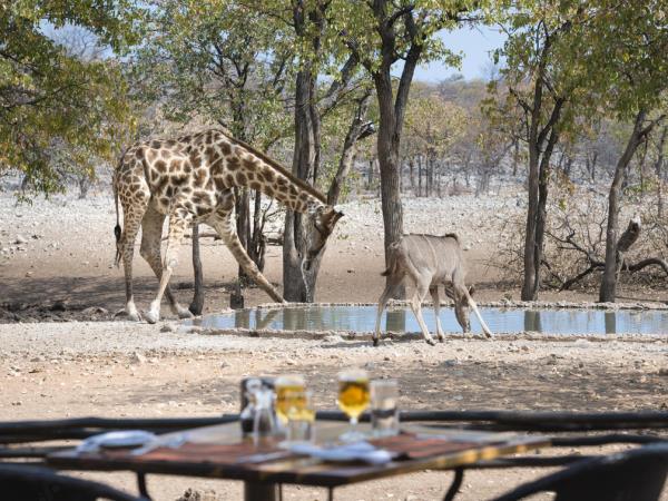 Privately guided Namibia holiday