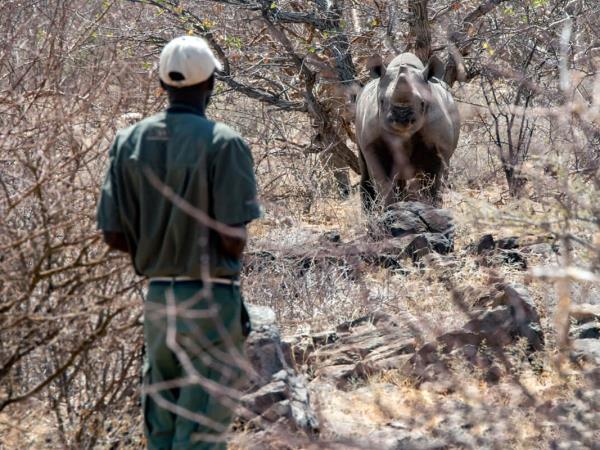 Namibia tours under canvas, small group safari
