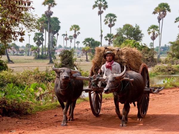 Cambodia history and culture holiday