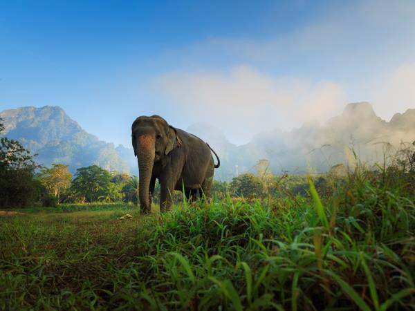 Thailand for families holiday