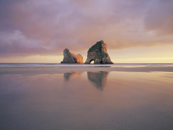 Best of New Zealand expedition cruise