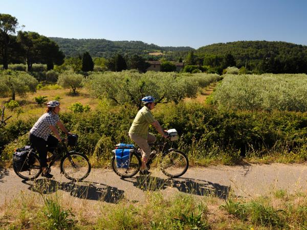 Provence to Camargue cycling holiday in France