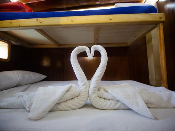 Zante gulet cruise in Greece 