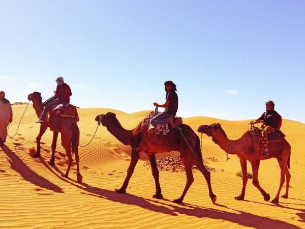 Morocco Berber cultural tour