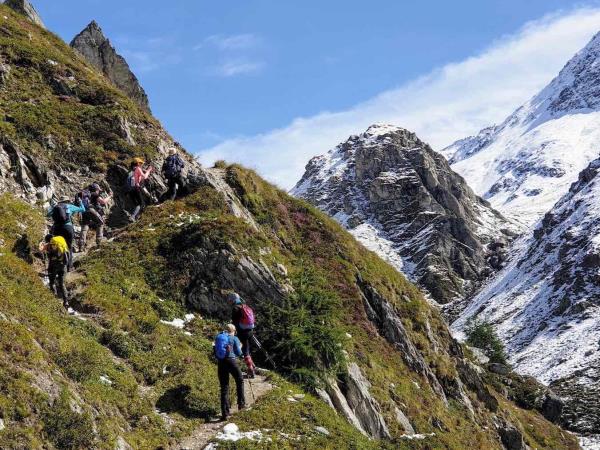 Austria yoga & walking holiday