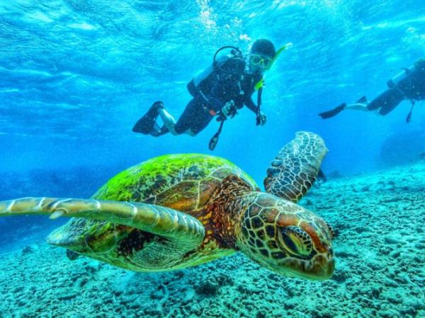 Galapagos eco cruising holiday