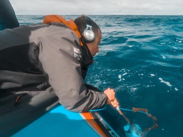 Marine mammals & biology holiday, Azores