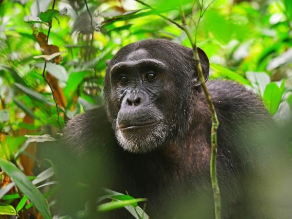 East Africa wildlife tour for families