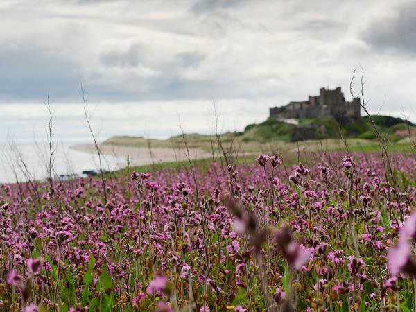 Northumberland and Lake District walking holiday