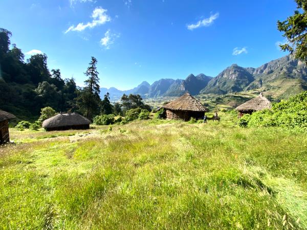 Ethiopia trekking in Wof Washa forest