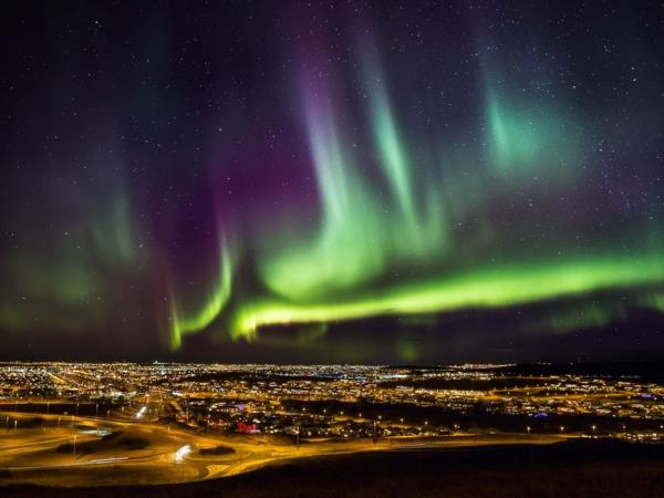 Gastronomy and northern lights holiday in Iceland