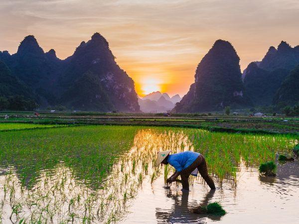 Vietnam volunteer travel and tour