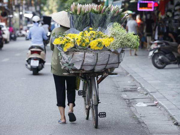 Authentic Vietnam holiday