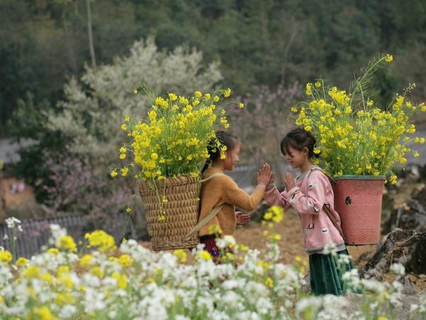 Northern Vietnam walking and culture tour 