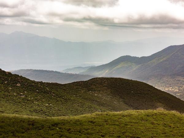 Ultimate Ethiopia 18 day tour