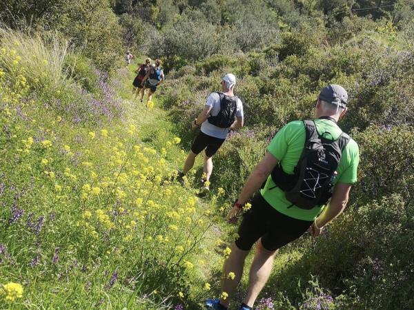 Poros walking holiday, Greek Islands