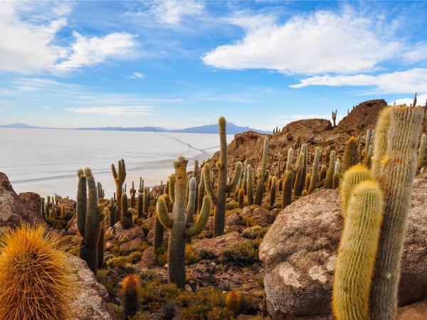 Bolivia budget adventure holiday, 9 days