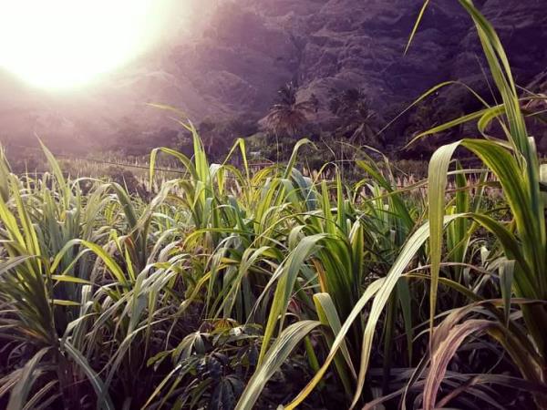 Cape Verde holidays & tours in 2025 & 2025