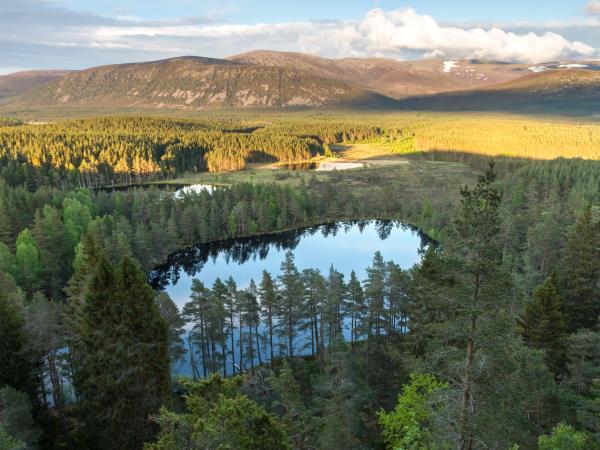Summer rewilding holiday in Cairngorms