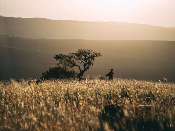 Kenya and Tanzania safari highlights, incl Zanzibar