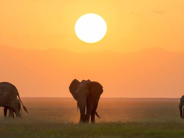 East Africa and Zanzibar holiday