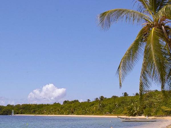 Trinidad & Tobago tours, tailor made