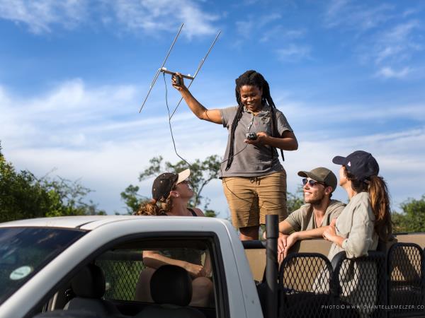 Endangered wildlife conservation in South Africa