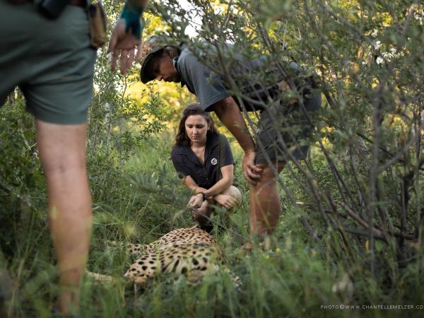 Wildlife conservation course in South Africa