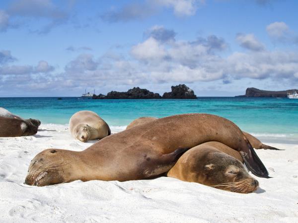 Galapagos island hopping adventure with volunteering